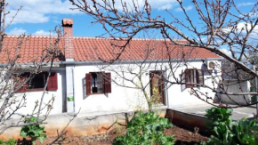 Apartments with a parking space Savar, Dugi otok - 12762